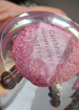 Load image into Gallery viewer, SCOTTISH PAPERWEIGHT: Vintage Caithness Paperweight: MOONFLOWER by Colin Terris. Pink Version
