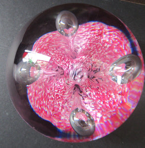 SCOTTISH PAPERWEIGHT: Vintage Caithness Paperweight: MOONFLOWER by Colin Terris. Pink Version