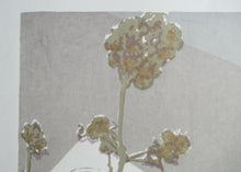 Load image into Gallery viewer, Bel Cowie Screenprint Pinks and Strawberries 1976 Scottish Art
