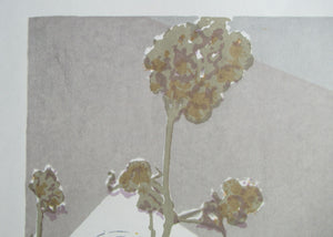 Bel Cowie Screenprint Pinks and Strawberries 1976 Scottish Art