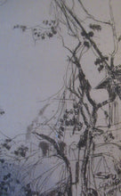 Load image into Gallery viewer,  Lumsden Jodhpur Gate 1913 Etching Second Indian Plates Pencil Signed
