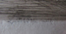 Load image into Gallery viewer,  Lumsden Jodhpur Gate 1913 Etching Second Indian Plates Pencil Signed
