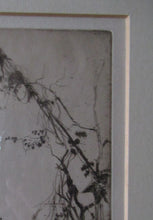 Load image into Gallery viewer,  Lumsden Jodhpur Gate 1913 Etching Second Indian Plates Pencil Signed
