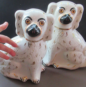 Antique Staffordshire Chimney Spaniels Wally Dogs 12 inches Glass Eyes