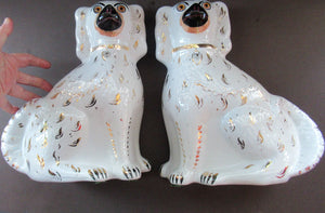 Antique Staffordshire Chimney Spaniels Wally Dogs 12 inches Glass Eyes