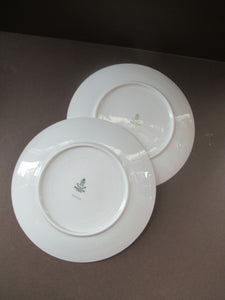Winterling Marktleuthen 1960s Salad Ware Pattern Side Plates