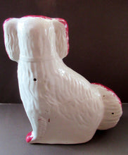 Load image into Gallery viewer, LARGE Antique Pair of Staffordshire Dogs Chimney Spaniels / Wally Dugs; 12 1/4 inches
