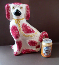 Load image into Gallery viewer, LARGE Antique Pair of Staffordshire Dogs Chimney Spaniels / Wally Dugs; 12 1/4 inches
