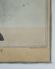 Load image into Gallery viewer, Georgian Print John Doyle Lithograph 1830s Parliamentary Reforms
