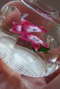 1970s Pertshire Paperweight Stuart Drysdale Lampwork Paperwith Pink Flower BOXED