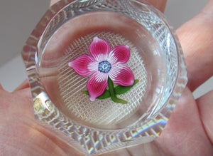 1970s Pertshire Paperweight Stuart Drysdale Lampwork Paperwith Pink Flower BOXED