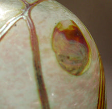 Load image into Gallery viewer, Siddy Langley British Studio Bowl Lustre Glass Bowl with Iridescent Gold Trails
