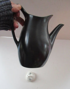 1950s Terrence Conran Nature Study Coffee Pot 