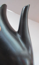 Load image into Gallery viewer, 1950s Terrence Conran Nature Study Coffee Pot 
