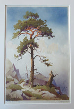 Load image into Gallery viewer, 1930s COLOUR WOODCUT Entitled The Lone Pine by James Alphege Brewer
