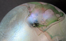 Load image into Gallery viewer, MIchael Harris Vintage Isle of Wight White Globular Vase

