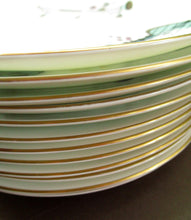 Load image into Gallery viewer, Royal Worcester 1960s Rare Fiesta Pattern Dessert Plate 
