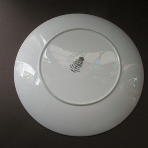 Royal Worcester 1960s Rare Fiesta Pattern DINNER Plate 