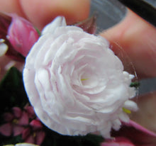 Load image into Gallery viewer, Rare RICK AYOTTE Limited Edition 1995 Cushion Cut Paperweight: Floral / Roses. LARGE SIZE 
