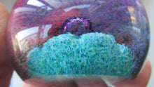 Load image into Gallery viewer, Vintage Scottish Caithness Glass Paperweight Flower of Scotland by Alastair Macintosh

