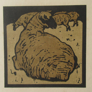 William Nicholson Square Book of Animals The Simple Sheep