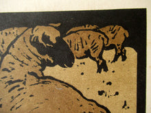 Load image into Gallery viewer, William Nicholson Square Book of Animals The Simple Sheep
