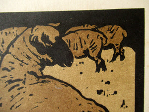 William Nicholson Square Book of Animals The Simple Sheep
