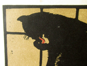 William Nicholson Square Book of Animals The Un-Common Cat