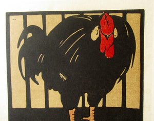 William Nicholson Square Book of Animals Cock of the North