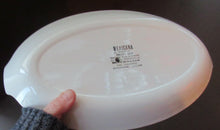 Load image into Gallery viewer, 1960s Original Jessie Tait Mexicana Midwinter Sandwich Plate with Handle
