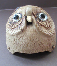 Load image into Gallery viewer, 1900s Antique Edwardian Celluloid Owl Table Bell Desk Top Bell 
