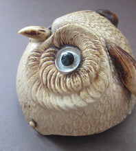 Load image into Gallery viewer, 1900s Antique Edwardian Celluloid Owl Table Bell Desk Top Bell 
