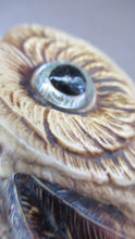 Load image into Gallery viewer, 1900s Antique Edwardian Celluloid Owl Table Bell Desk Top Bell 
