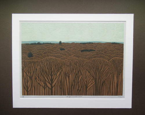 Scottish Artist Robert Crozier Linocut Conifers in a Forest Framed
