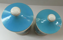 Load image into Gallery viewer, 1960s Portmeirion Blue Apothecary Pot. Dolphins Flour
