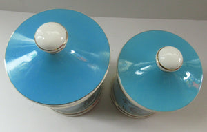 1960s Portmeirion Blue Apothecary Pot. Dolphins Flour