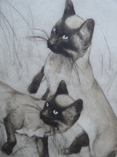 Load image into Gallery viewer, Vernon Stokes Etching Two Siamese Cats Watching a Cricket
