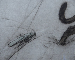 Vernon Stokes Etching Two Siamese Cats Watching a Cricket