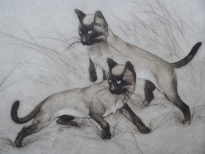 Vernon Stokes Etching Two Siamese Cats Watching a Cricket