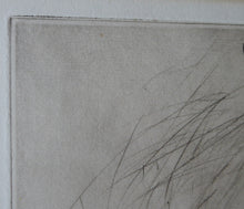 Load image into Gallery viewer, Vernon Stokes Etching Two Siamese Cats Watching a Cricket
