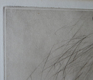 Vernon Stokes Etching Two Siamese Cats Watching a Cricket