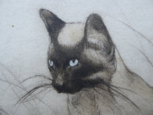 Load image into Gallery viewer, Vernon Stokes Etching Two Siamese Cats Watching a Cricket
