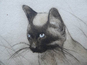 Vernon Stokes Etching Two Siamese Cats Watching a Cricket