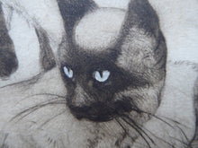 Load image into Gallery viewer, Vernon Stokes Etching Two Siamese Cats Watching a Cricket
