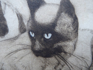 Vernon Stokes Etching Two Siamese Cats Watching a Cricket