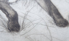 Load image into Gallery viewer, Vernon Stokes Etching Two Siamese Cats Watching a Cricket
