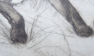 Vernon Stokes Etching Two Siamese Cats Watching a Cricket