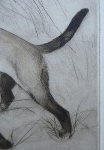 Vernon Stokes Etching Two Siamese Cats Watching a Cricket