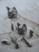 Load image into Gallery viewer, Vernon Stokes Etching Two Siamese Cats Watching a Cricket
