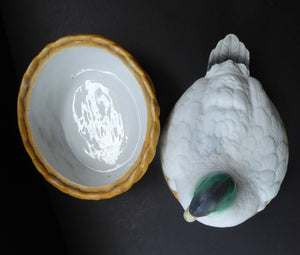 Rare ANTIQUE Staffordshire Bisque DUCK on a NEST. Victorian era; and in excellent condition